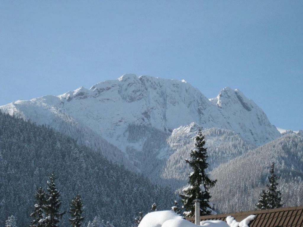 Apartments Zakopane Center エクステリア 写真